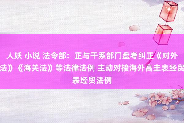 人妖 小说 法令部：正与干系部门盘考纠正《对外商业法》《海关法》等法律法例 主动对接海外高圭表经贸法例