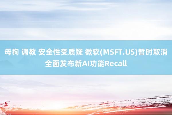 母狗 调教 安全性受质疑 微软(MSFT.US)暂时取消全面发布新AI功能Recall
