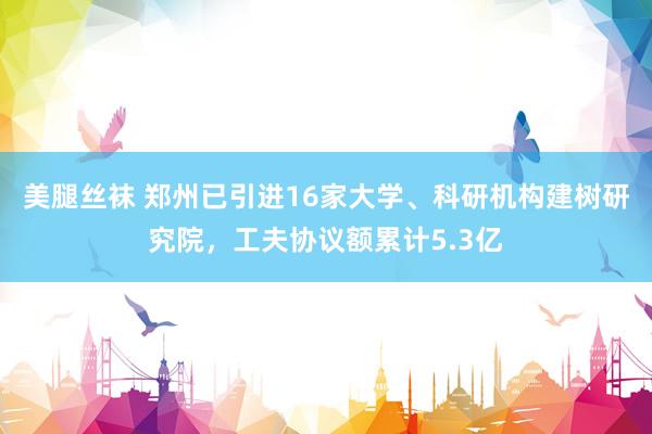 美腿丝袜 郑州已引进16家大学、科研机构建树研究院，工夫协议额累计5.3亿