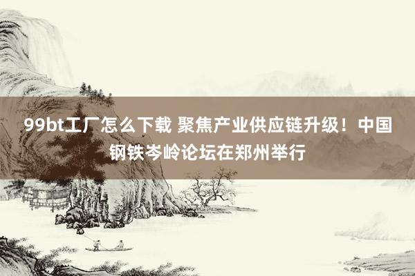 99bt工厂怎么下载 聚焦产业供应链升级！中国钢铁岑岭论坛在郑州举行